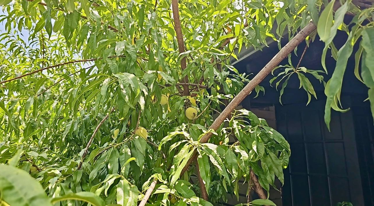 property_gallery_img_9581